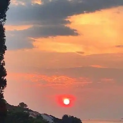 王阿姨